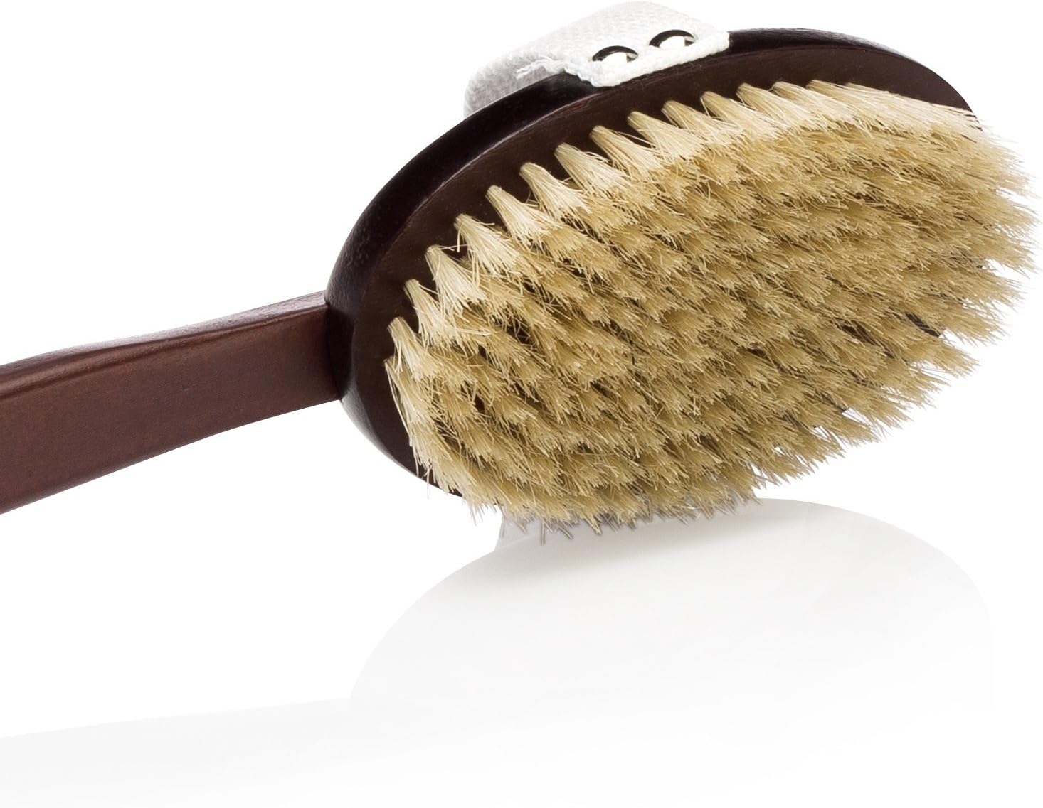Deluxe Natural Dry Body Brush for Overall Skin Wellness. Restore Youthful Glow. Removable Long Handle, Storage Bag & FREE B.O.N Nourishing Skin Oil