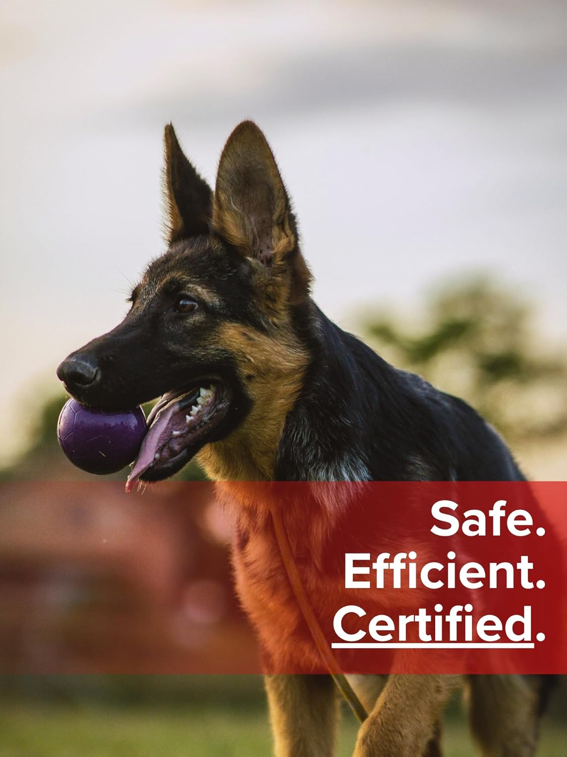 RuffHeat Dog House Heater - Safe, Energy-Efficient Heating for Outdoor Kennels and Pet Houses