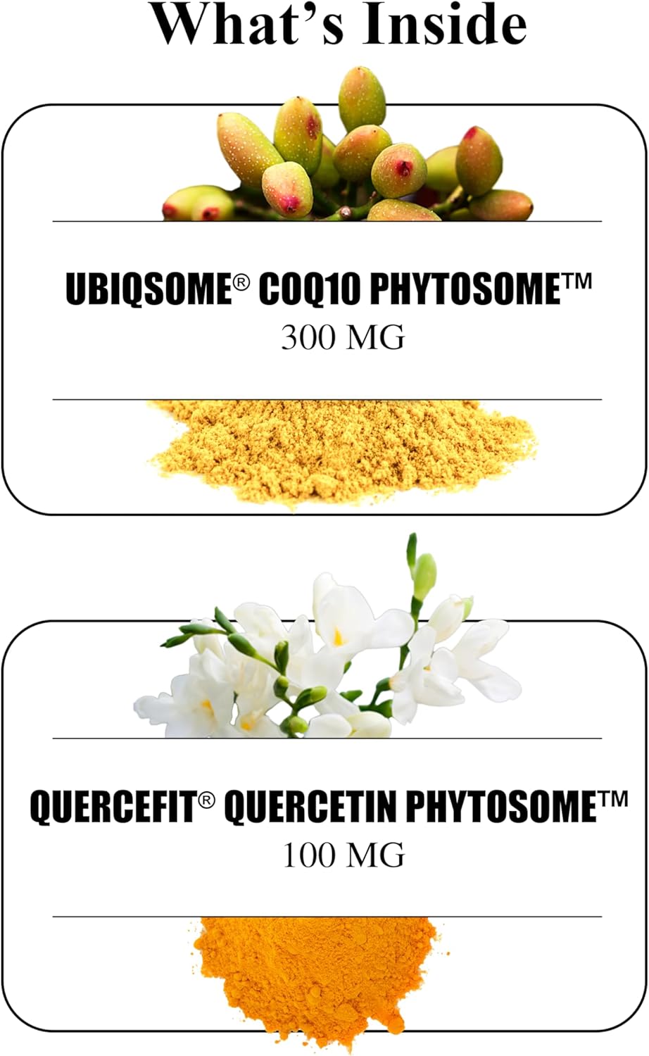 Durable CoQ10 – 300mg Coenzyme Q10 Phytosome with 9X Better Absorption + Quercetin – Heart, Energy & Cellular Support – Doctor Formulated, Vegan, Non-GMO, Made in USA, Once-Daily (30 Capsules) - Image 5