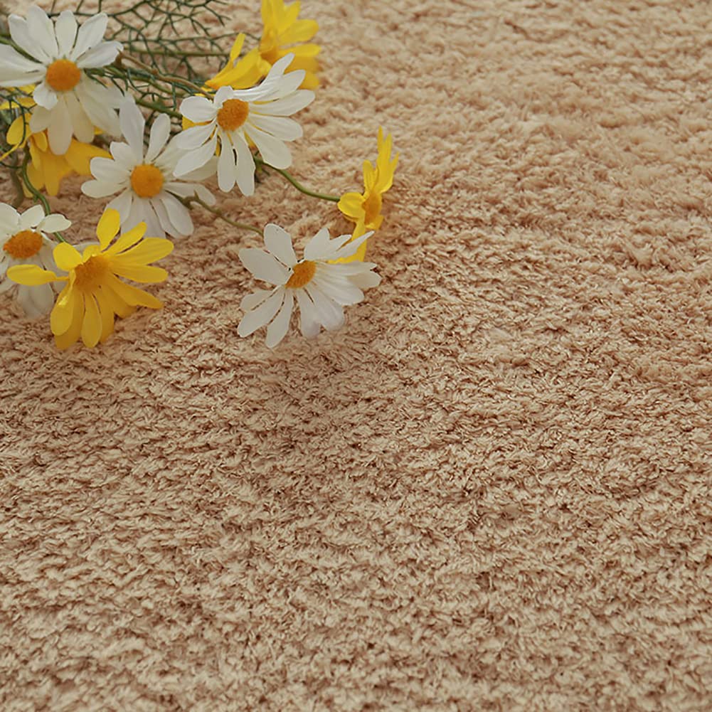 Tapis beige 120x200cm grand modèle en velours doux pour salon et chambre