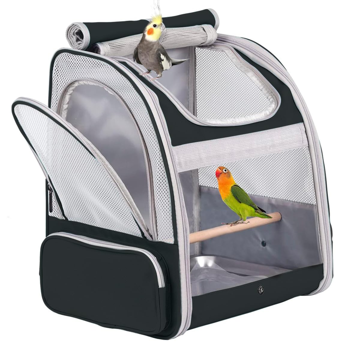 Bird Backpack Carrier with Stand Perch, Bird Travel Backpack for Hiking, Airline Approved Green Bird Backpack