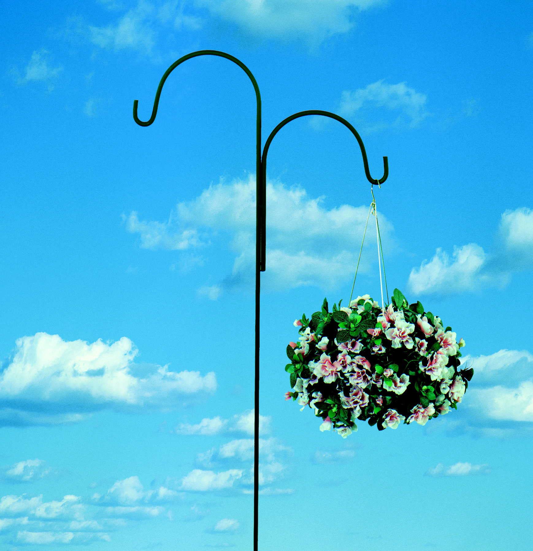 Amazon.com: American Garden Works, 90