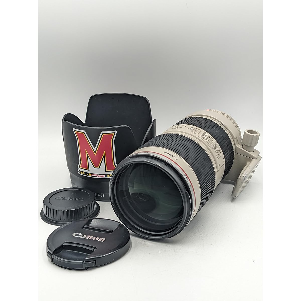 【返品保証】Canon EF 70-200mm F2.8L IS II USM Canon RF 70-200mm F2.8 L IS USM Z Lens Review