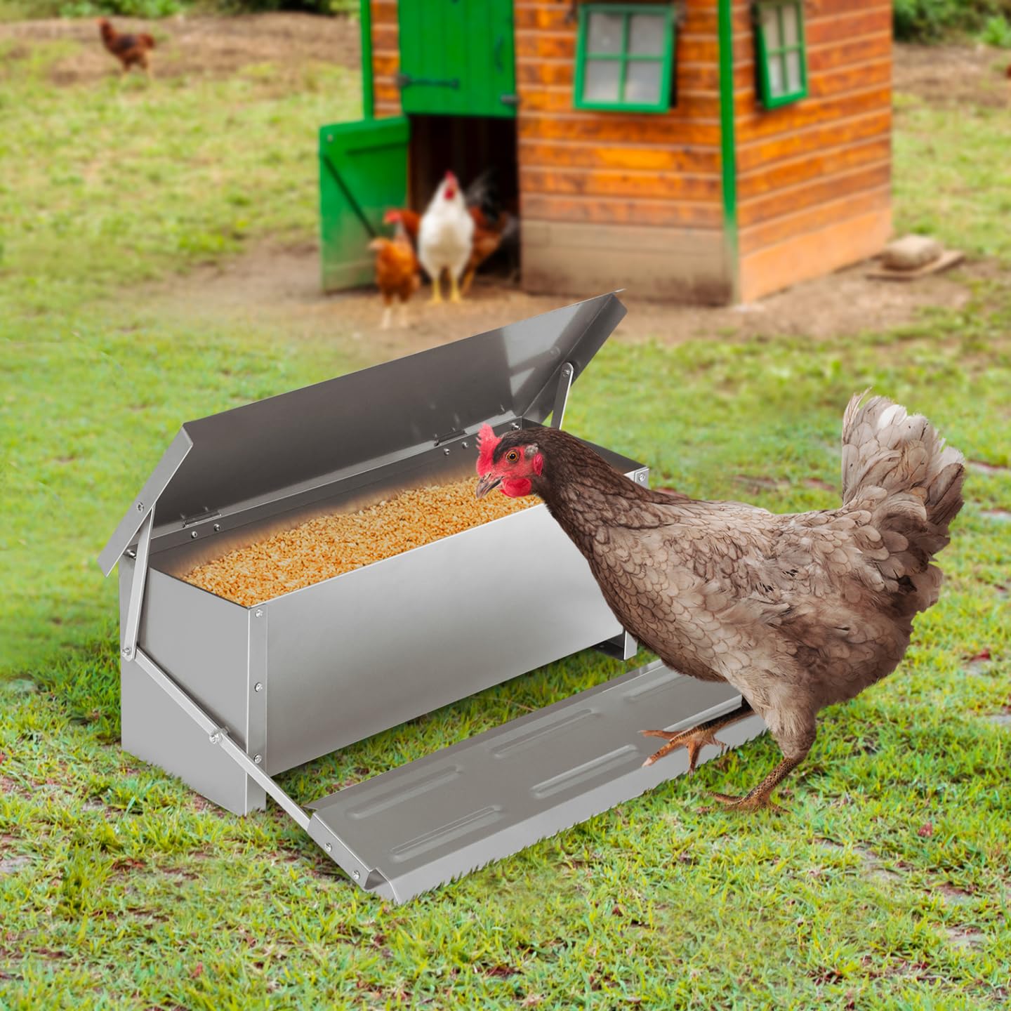Alimentador XXL para gallinas, dispensador automático con pedal de acero 10 kg