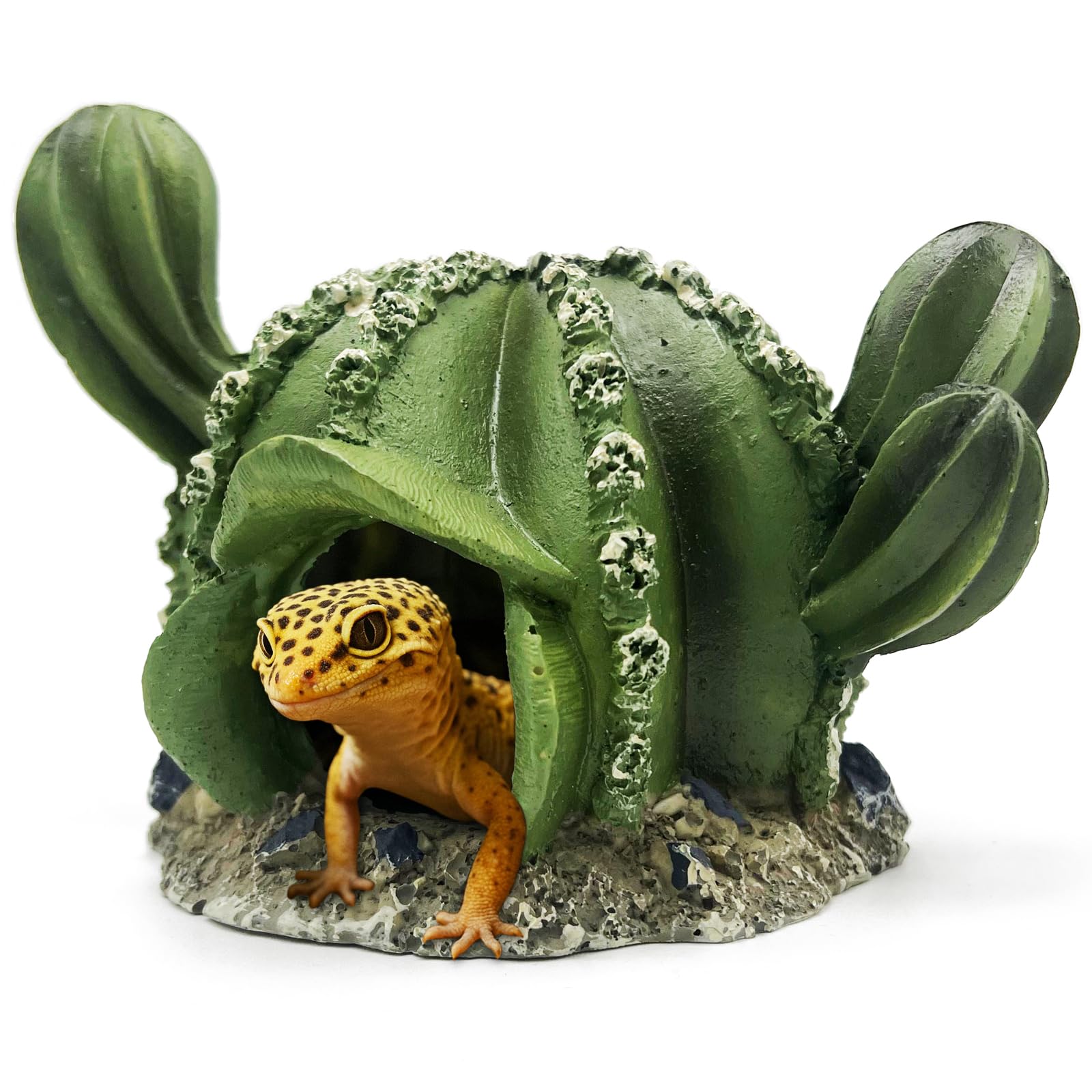 Amazon.com : Cactus Reptile Hide Caves Lizard Bearded Dragon