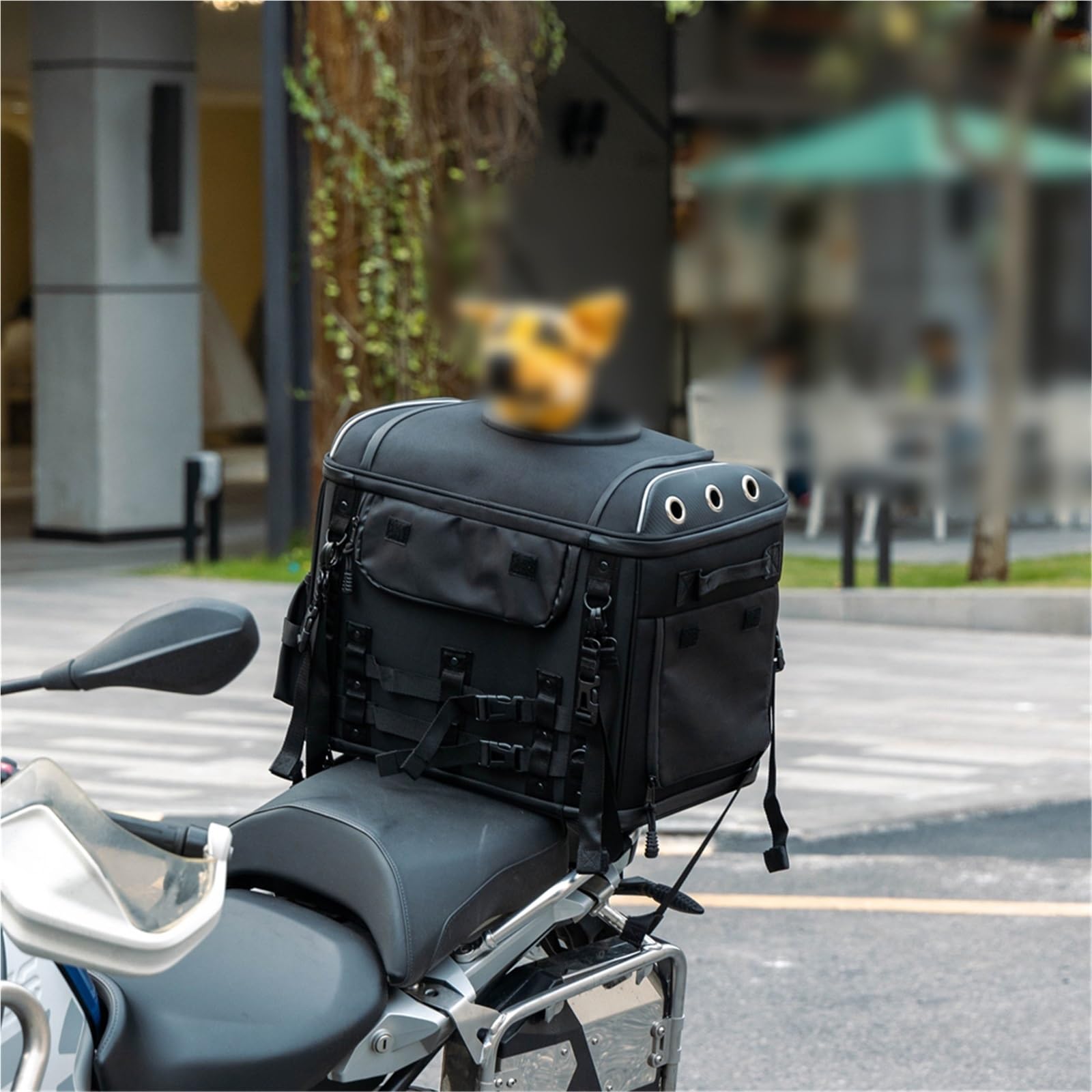 Borsa Per Animali Domestici Da Moto, Trasportino Per Cani Con Portapacchi Per Sedile Passeggero Per Kawasaki