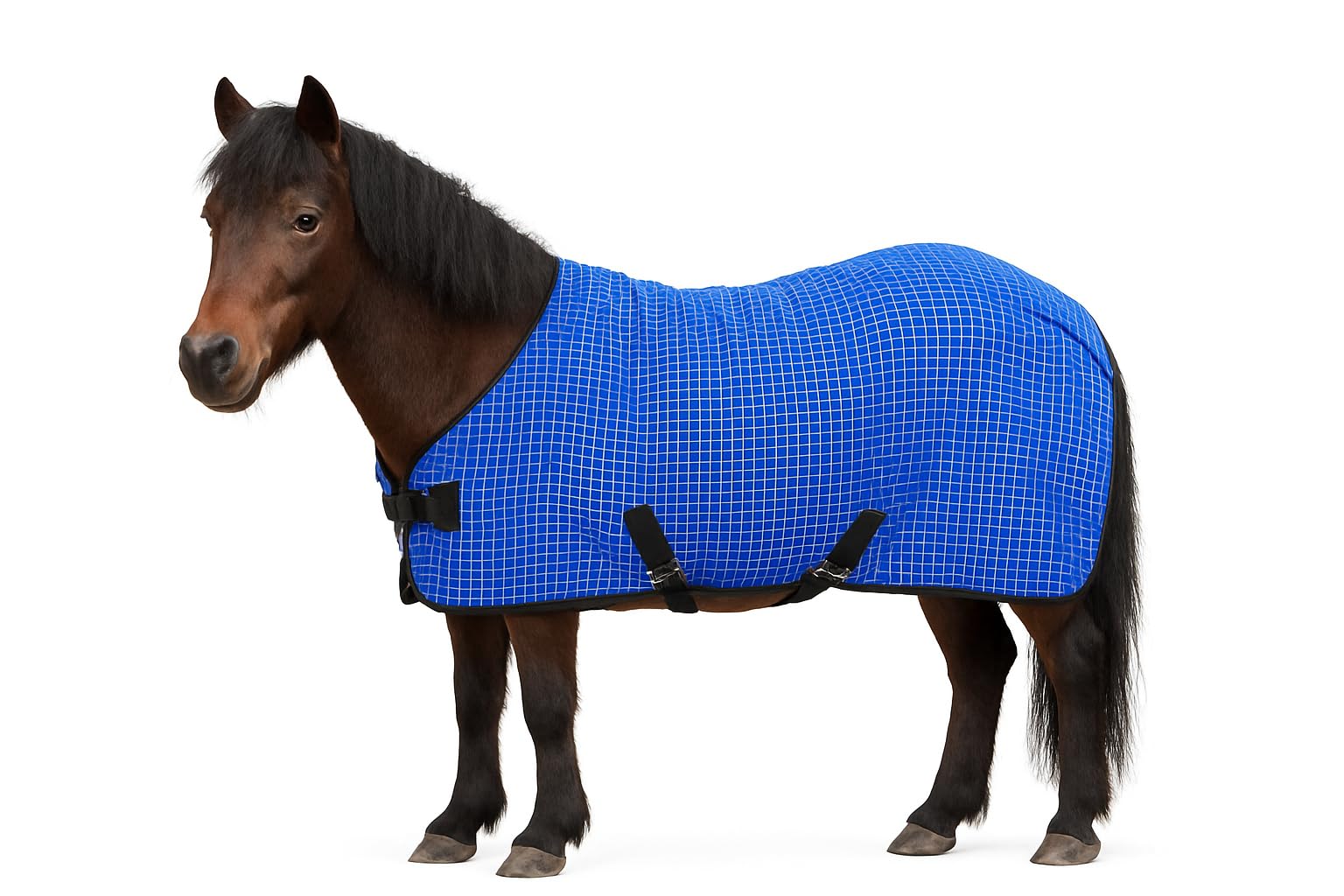 IV Horse Small and Wee Pony Honeycomb Cooler (4'0)
