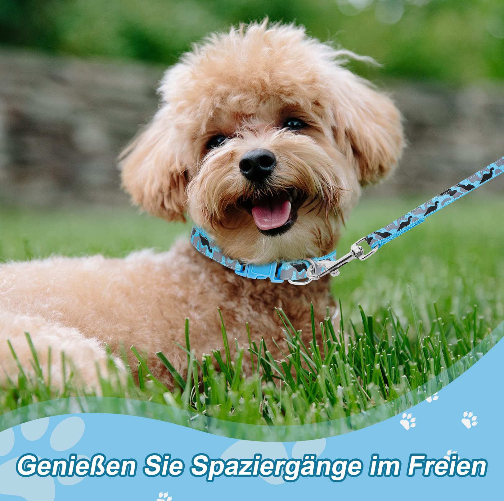 Weiches Nylon-Hundehalsband – Verstellbar, Mit Sicherheitsschnalle, Für Kleine Hunde, Welpen & Katzen (Größe S)