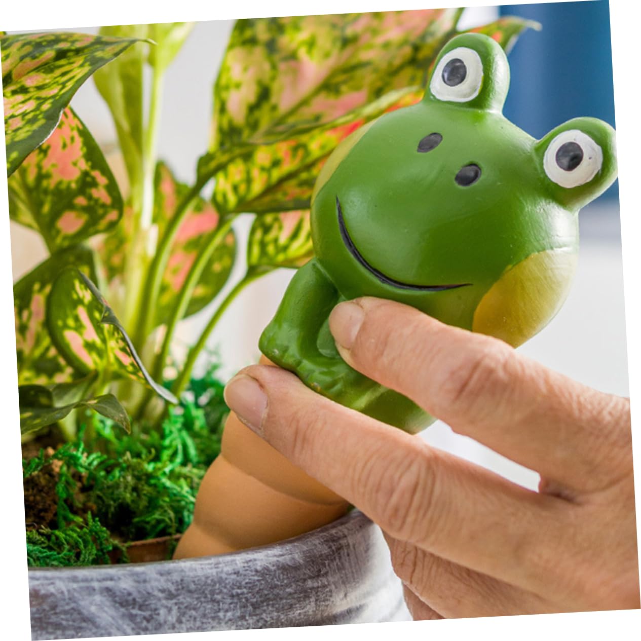 Milisten 4pièces Globes Arrosage pour Plantes Intérieur Arroseurs Automatiques à Picots Système Arrosage pour Plantes Pot