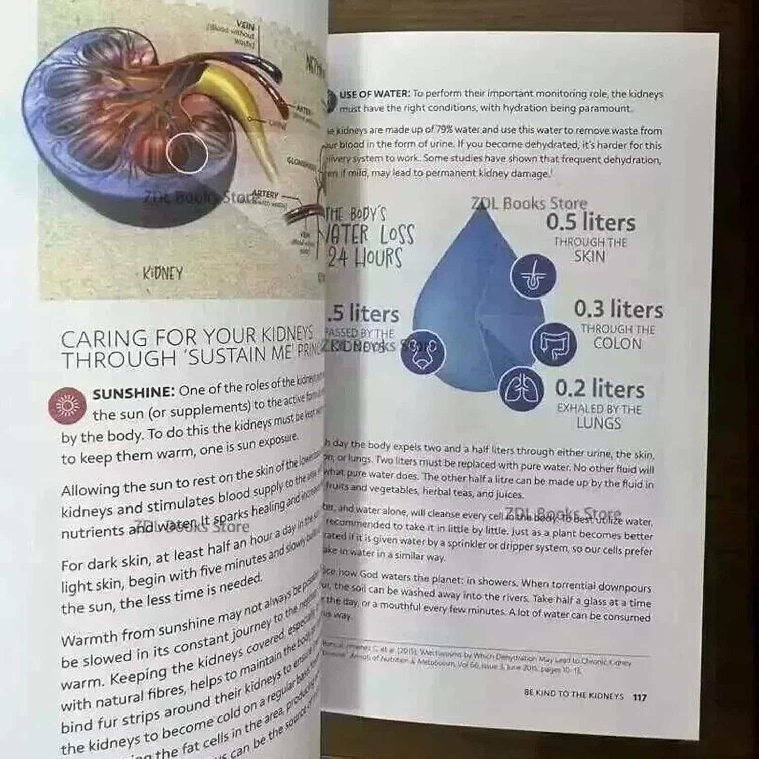 Sustain Me Book Barbara O'neill,Size of 6x8 Inches,The Complete Herbal Remedies Book & Holistic Health Guide, The Herbal Remedies Organizers