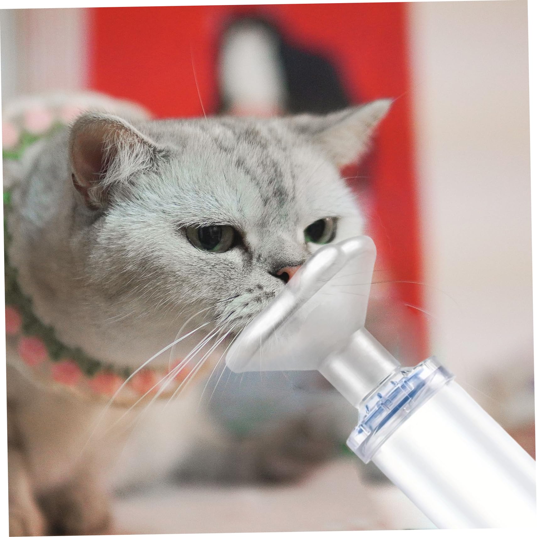 Katzeninhalator, tragbarer Hundeinhalator mit Gesichtsmaske für Kätzchen, Welpen, zum Atmen und Verabreichen von Medikamenten, Hundeinhalator, Abstandshalter für Inhalator