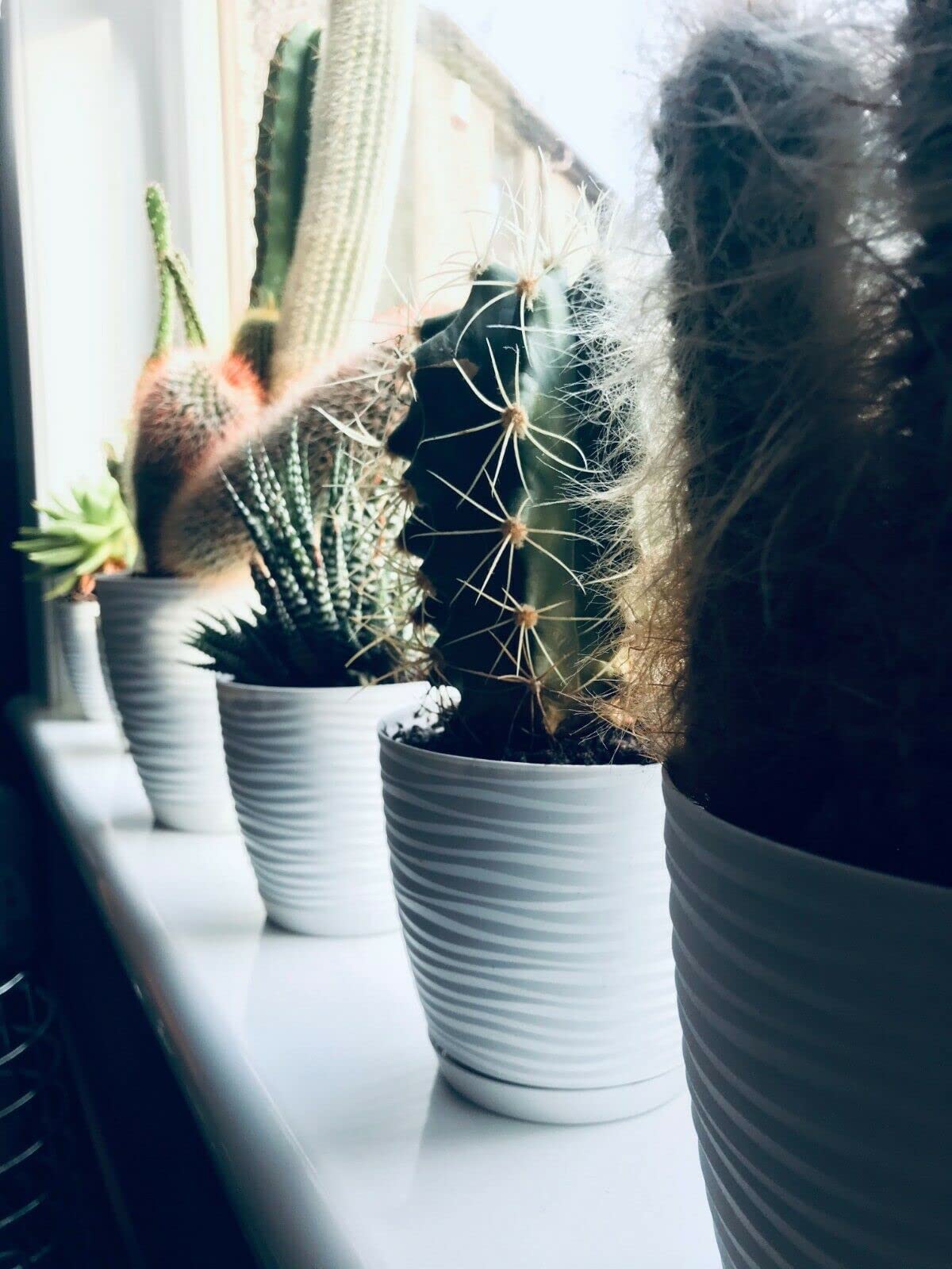 View 9
