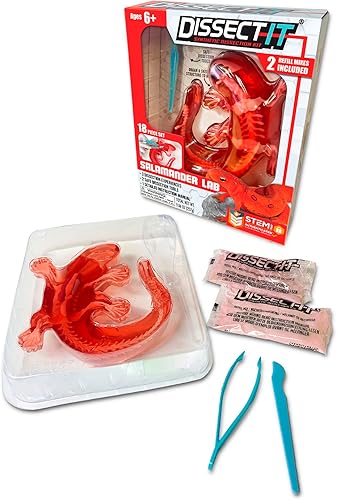 Miniatura 15 de Dissect-It Juguete de Disección de Laboratorio Sintético Simulado, Proyectos STEM para Niños, Ciencia Animal, Biología y Anatomía Kit de Aprendizaje