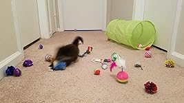 Review Image by Mermaidmaiden90