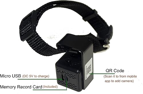 Miniatura 5 de Collar digital para mascotas, 32 GB, cámara para perro, DVR, monitor de grabadora de video para perro, tamaño más grande, color negro (con tarjeta