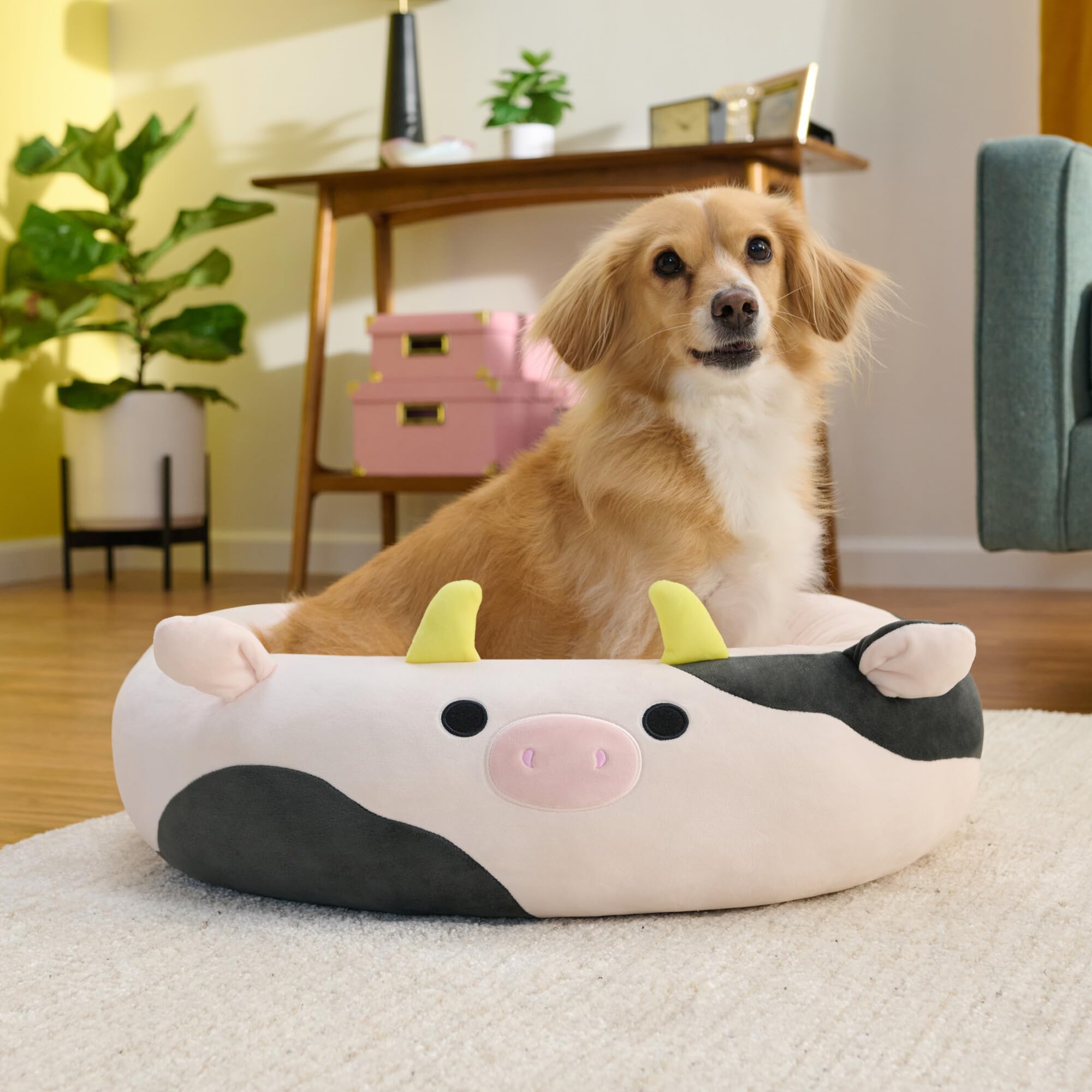 Squishmallows Oryginalne legowisko dla zwierząt domowych Connor the Cow 30 cali - duże Ultrasoft oficjalne pluszowe legowisko dla zwierząt Jazwares