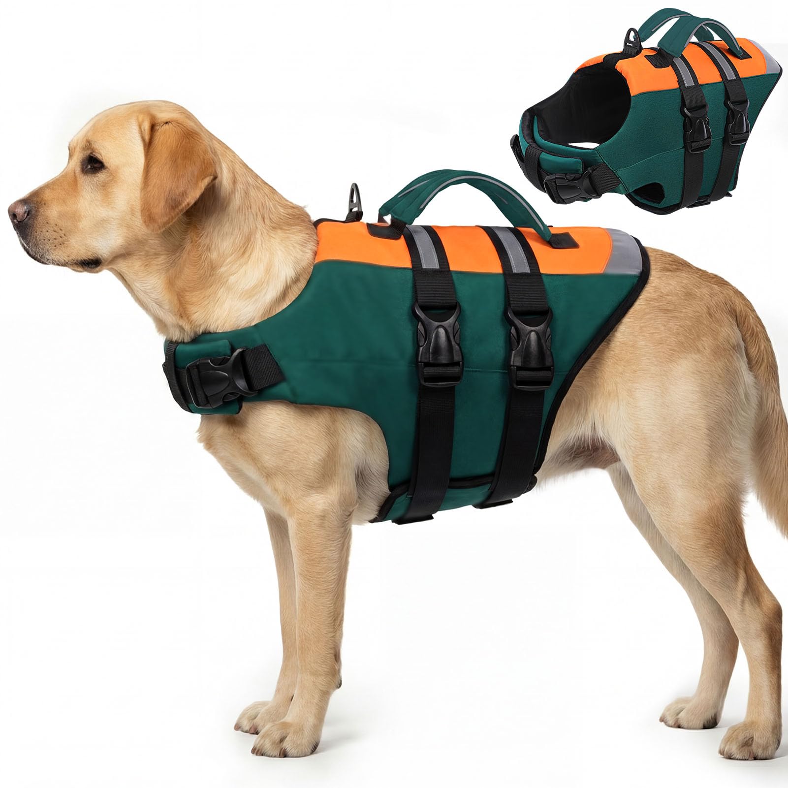 CITÉTOILE Gilet de Sauvetage pour Chien Double Poignée Flottant Réfléchissant Poignée Renforcée Sangles Réglables Vert XL