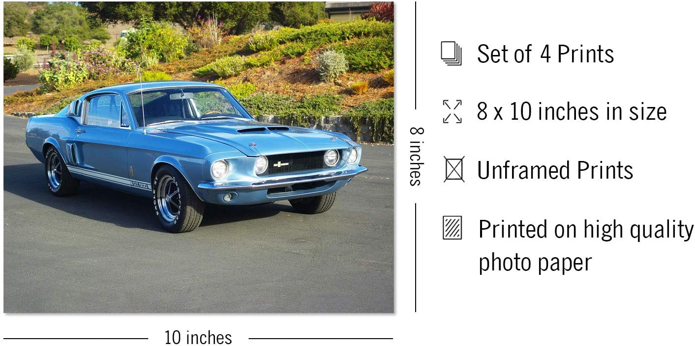 最新最全の 英語の本です 4 アメ車 マッスルカー カーレース 等 本国アメリカの 本 アメ車 シェルビー Shelby その他 Www Coastlinetravel Co Uk 最新最全の 英語の本です 4 アメ車 マッスルカー カーレース 等 本国アメリカの 本 アメ車 シェルビー Shelby その他 Www Coastlinetravel Co Uk