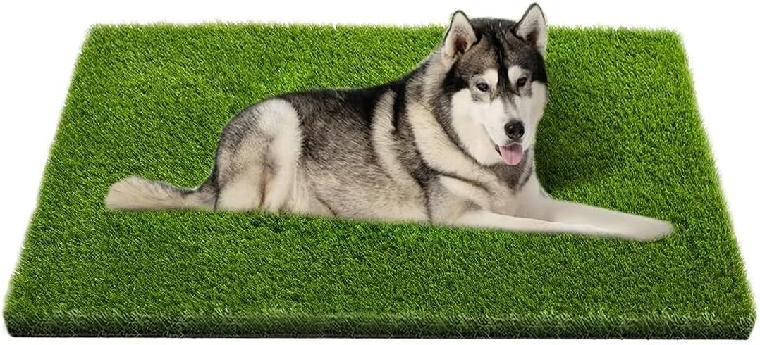 Artificial Grass