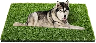 Artificial Artificial Dog Grass Mat with Drainage