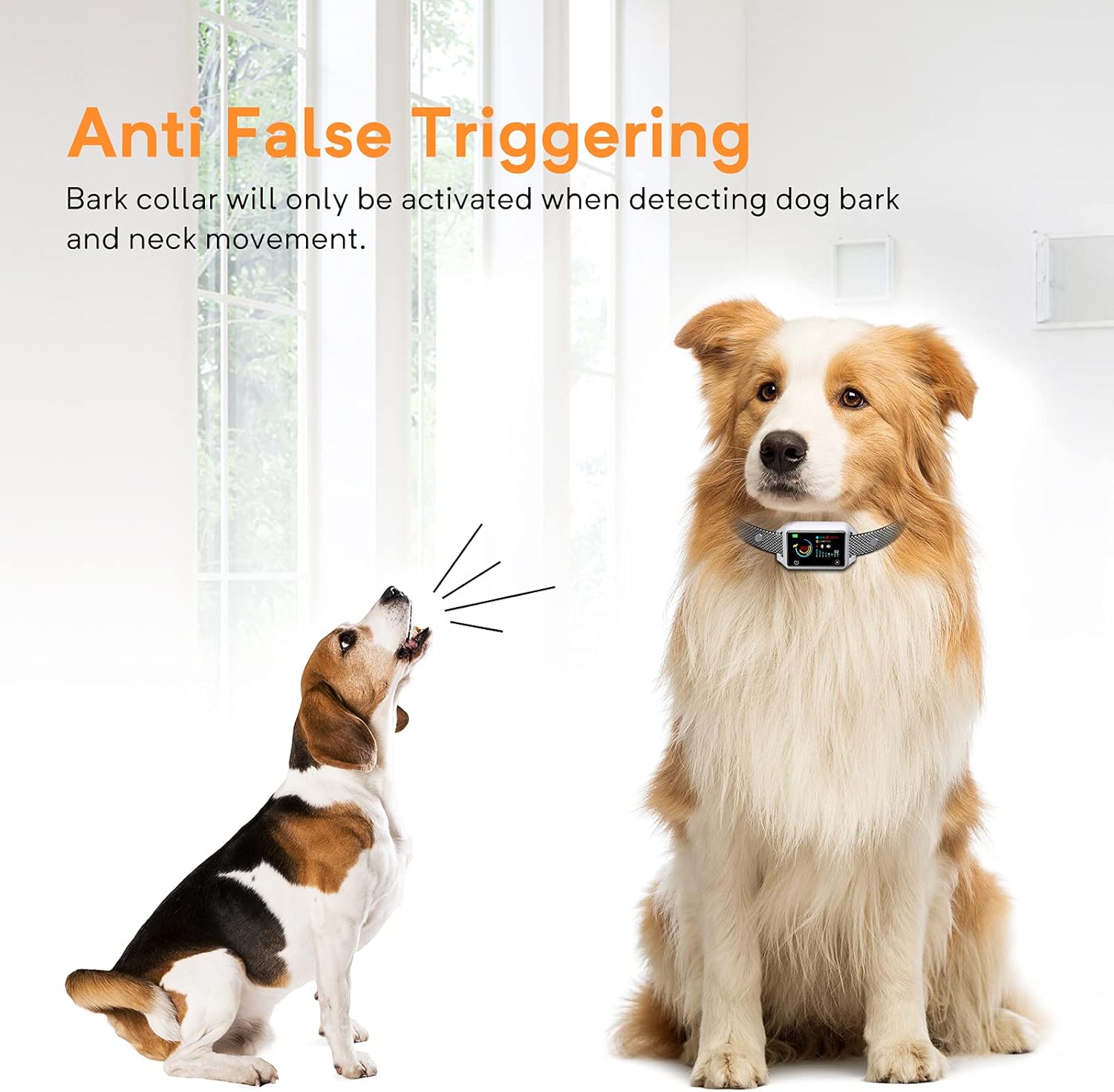 bark activated shock collar