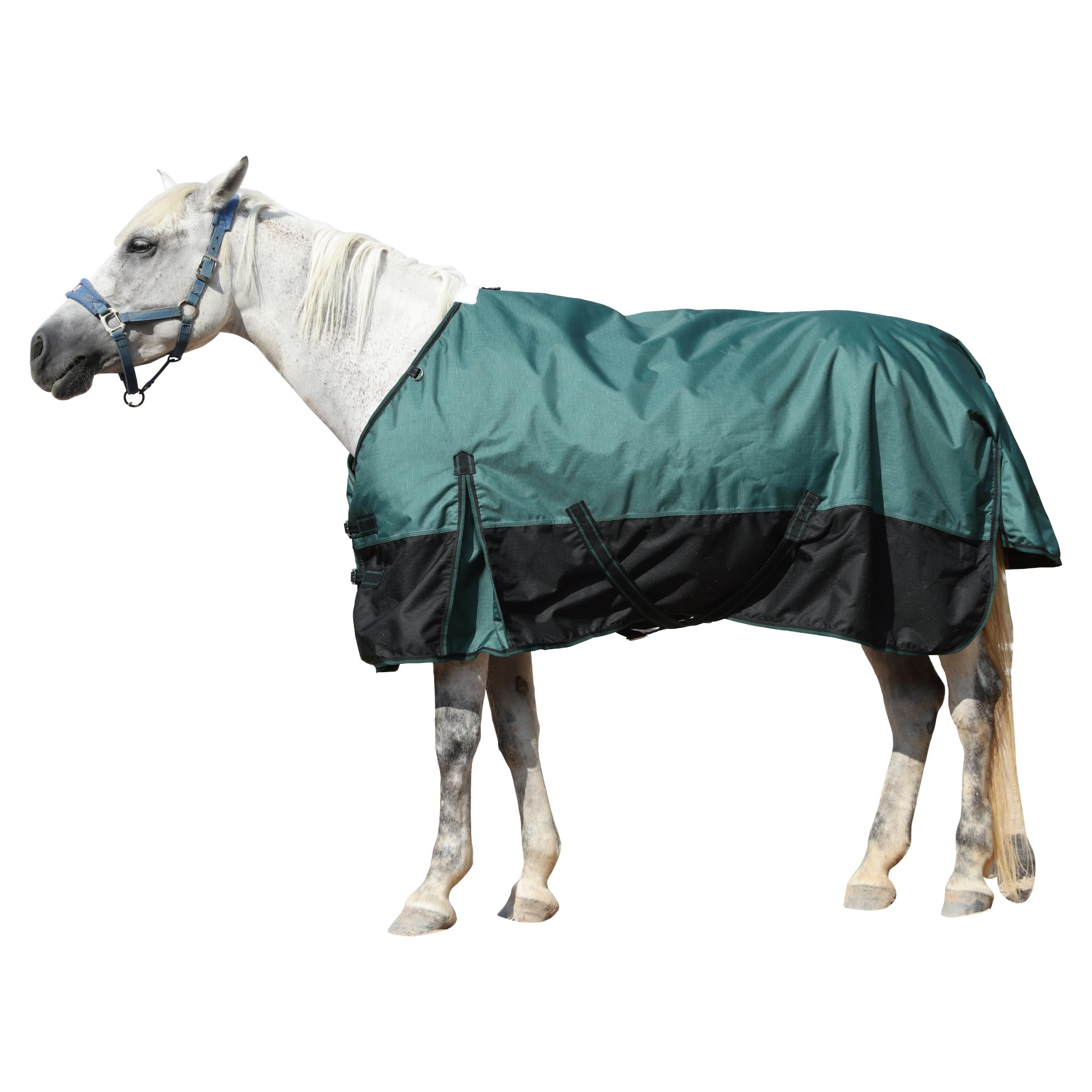 Gallopoff 1200D Ripstop Horse Rug 200g Medium Weight Standard Neck Turnout Rugs for Horses - Waterproof & Breathable with Anti-Rub Lining Dark Green 7'0