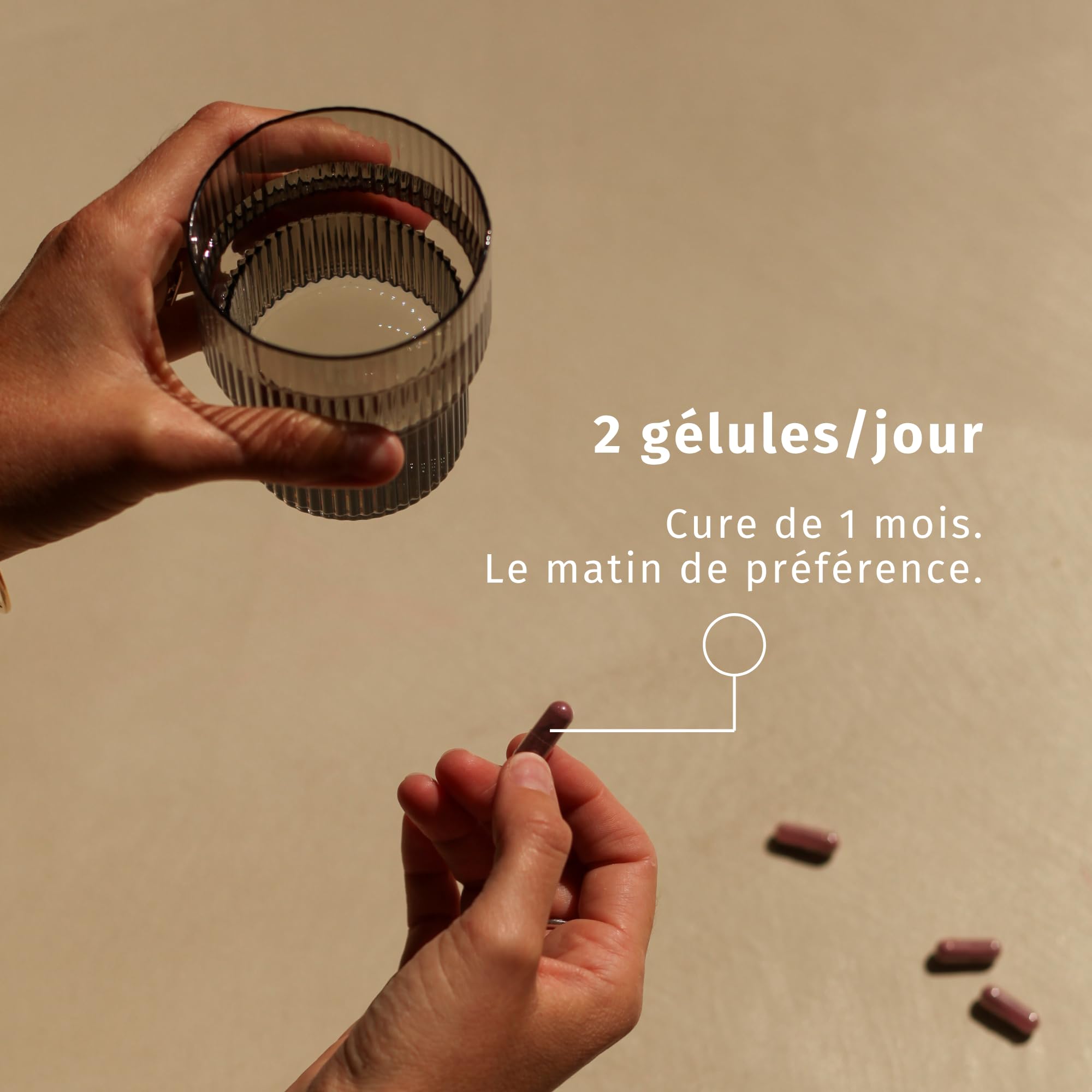 Morosil ® + vinaigre de cidre | Contrôle du poids, digestion & régulation de la glycémie | 60 gélules gastro-résistantes | Fabriqué en France | Valebio
