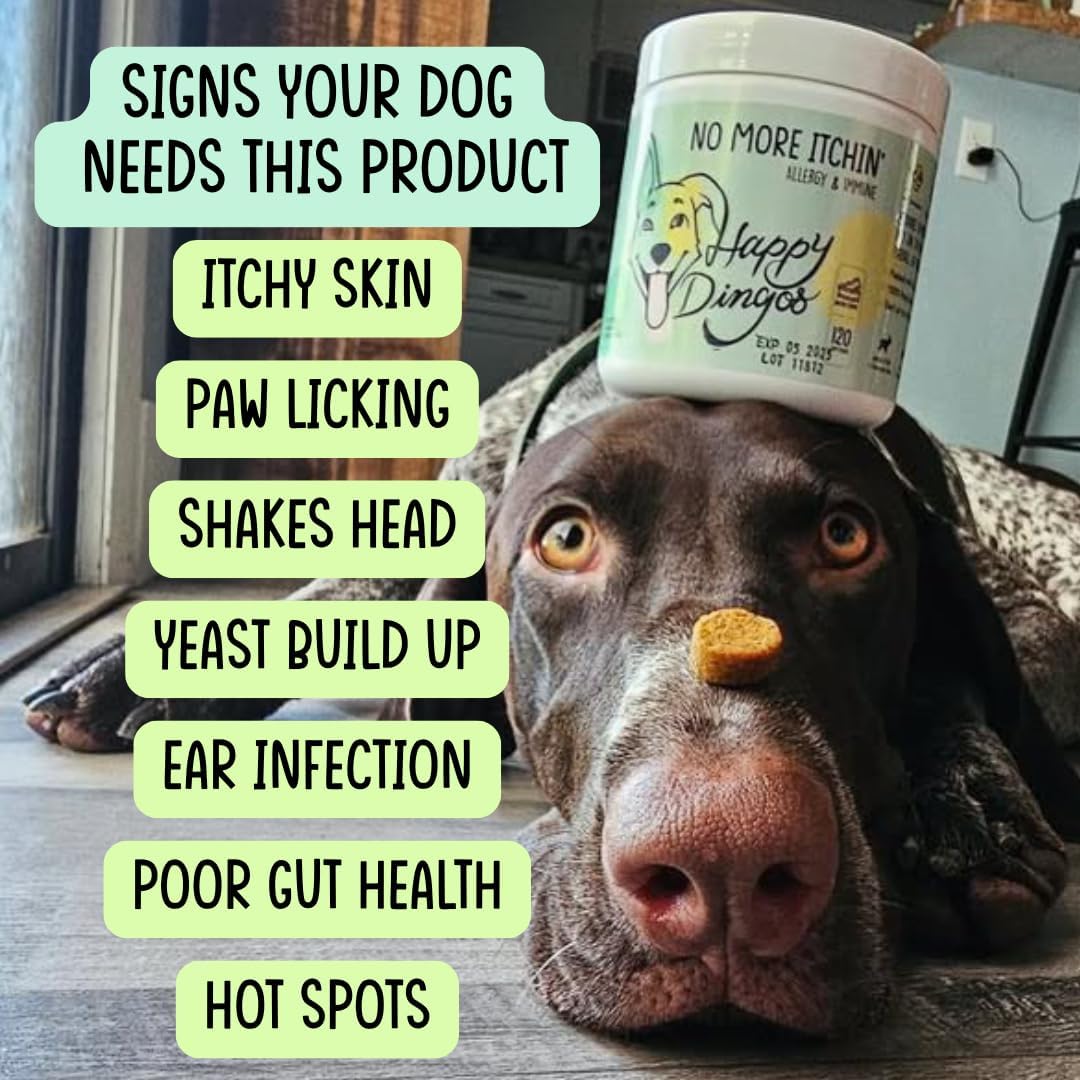 Dog Allergy Relief Chews for Itchy Skin - Stop Paw Licking, Itchy Ears, Support Seasonal Allergy - with Probiotics and Salmon Oil - 120 Count - Bacon Flavor