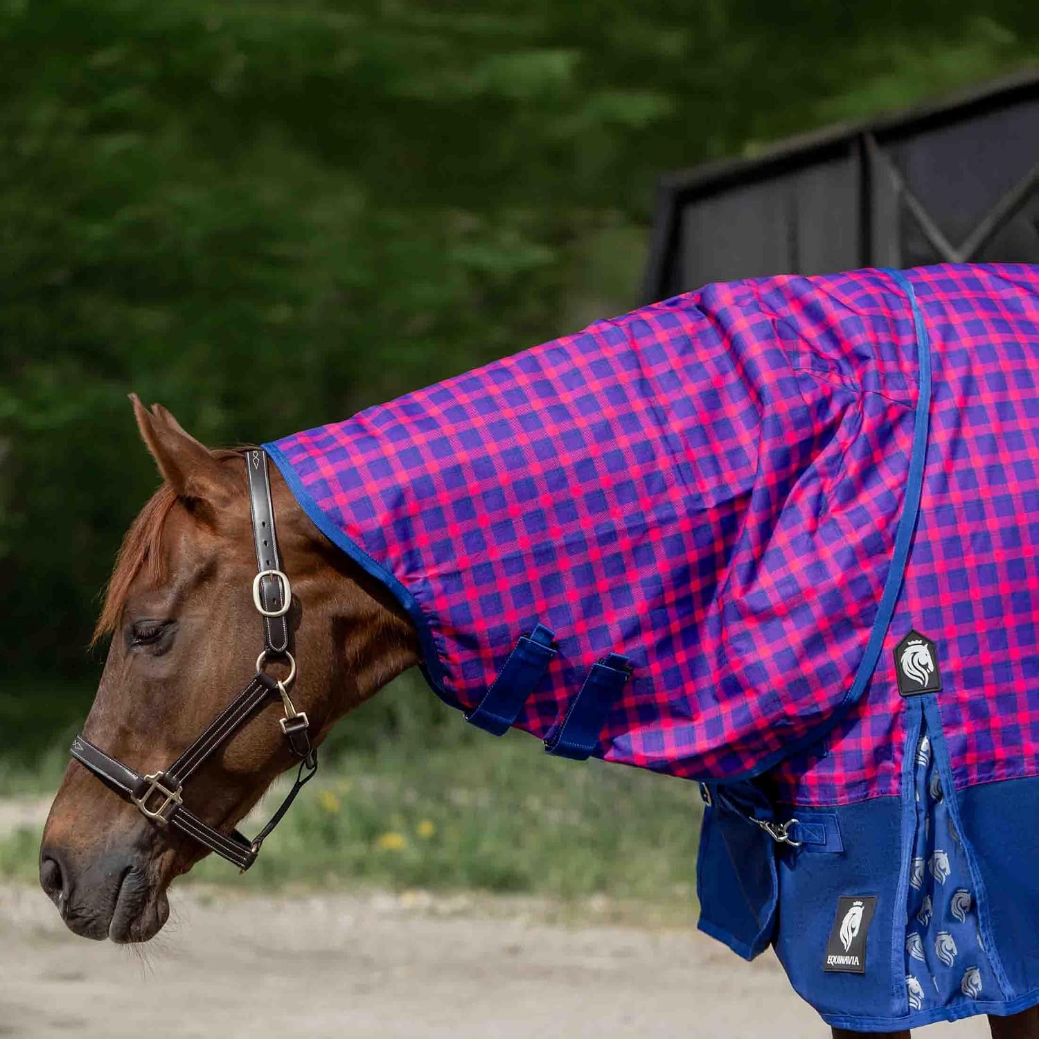 Equinavia Norse Fleece Lined Turnout Blanket - Galaxy Blue/Pink Flambe - 84 in