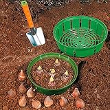 Durchmesser 29,5 cm Blumenzwiebel-Pflanzschale 29,5 cm, 5 Stück