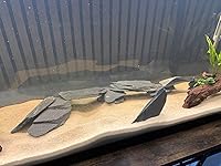 Review Image by John Basiago John Basiago