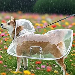 Capa de chuva para animais de estimação, transparente, impermeável, gatos, cães, com capuz, cobertura total, proteção contra vento e chuva, pequeno a médio