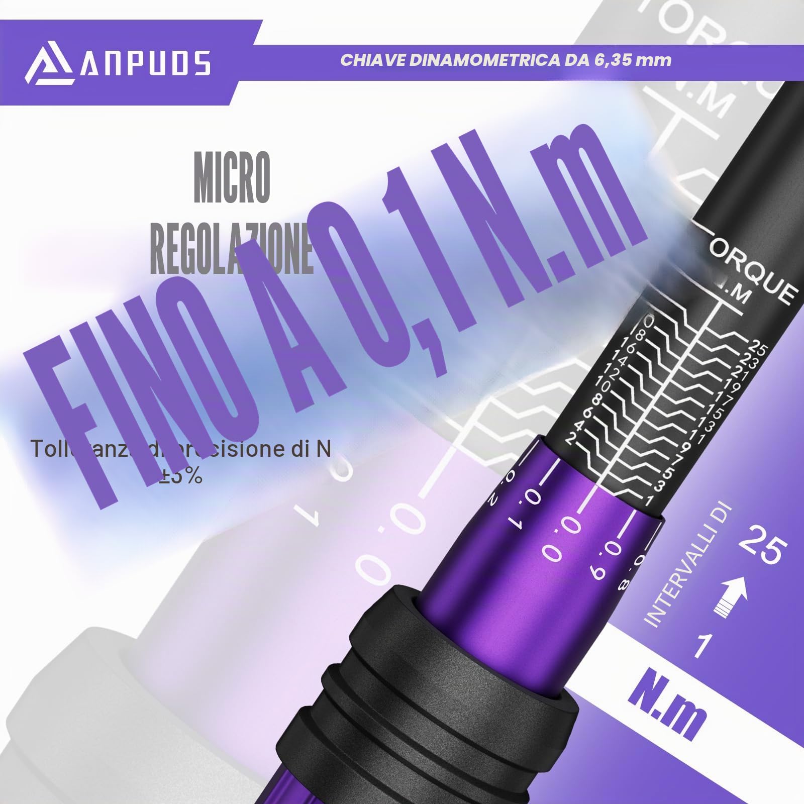 ANPUDS Chiave Dinamometrica 1/4”, 1-25 Nm Chiave Dinamometrica Bici e Moto con 0,1 Nm Microregolazione, Testa Bidirezionale a 72 Denti, Precisione ± 3% per Bici da Strada e Mountain