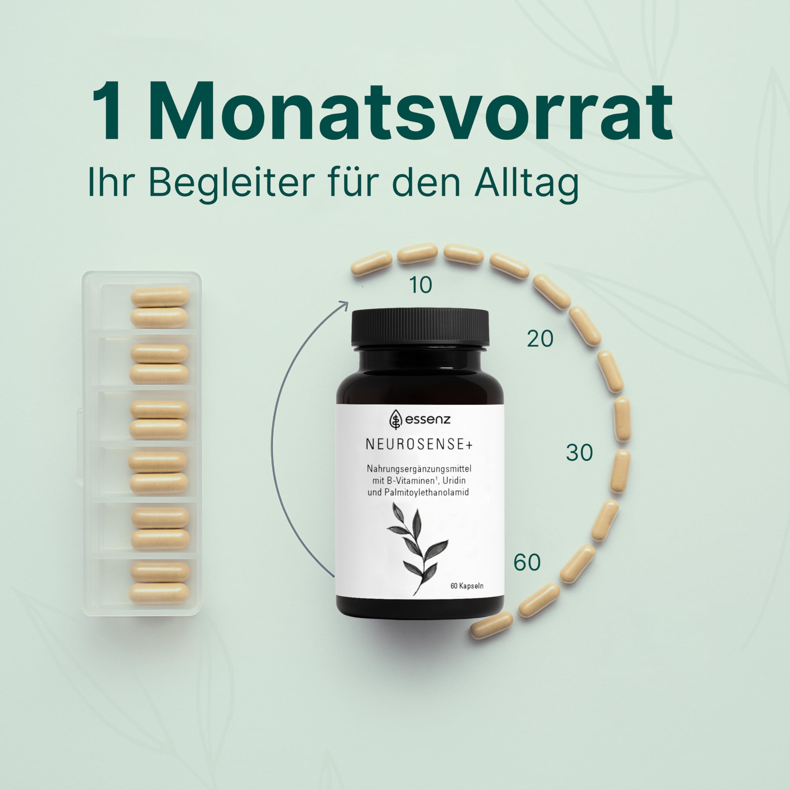 ESSENZ - Neurosense+ 60 Kapseln - Zur Unterstützung der normalen Zell- und Nervenfunktion. Natürliche Kapseln mit Folsäure sowie Vitamine B6 & B12. Made in Germany
