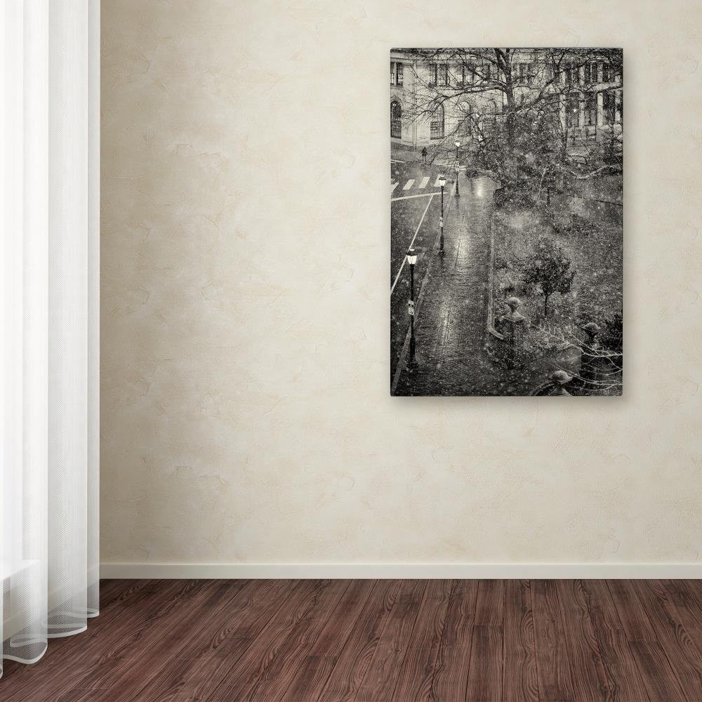Amazon.com: Trademark Fine Art ALI12882-C2232GG Canvas Art