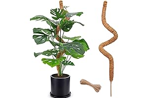 48" Bendable Moss Pole: Support for Climbing Indoor Plants