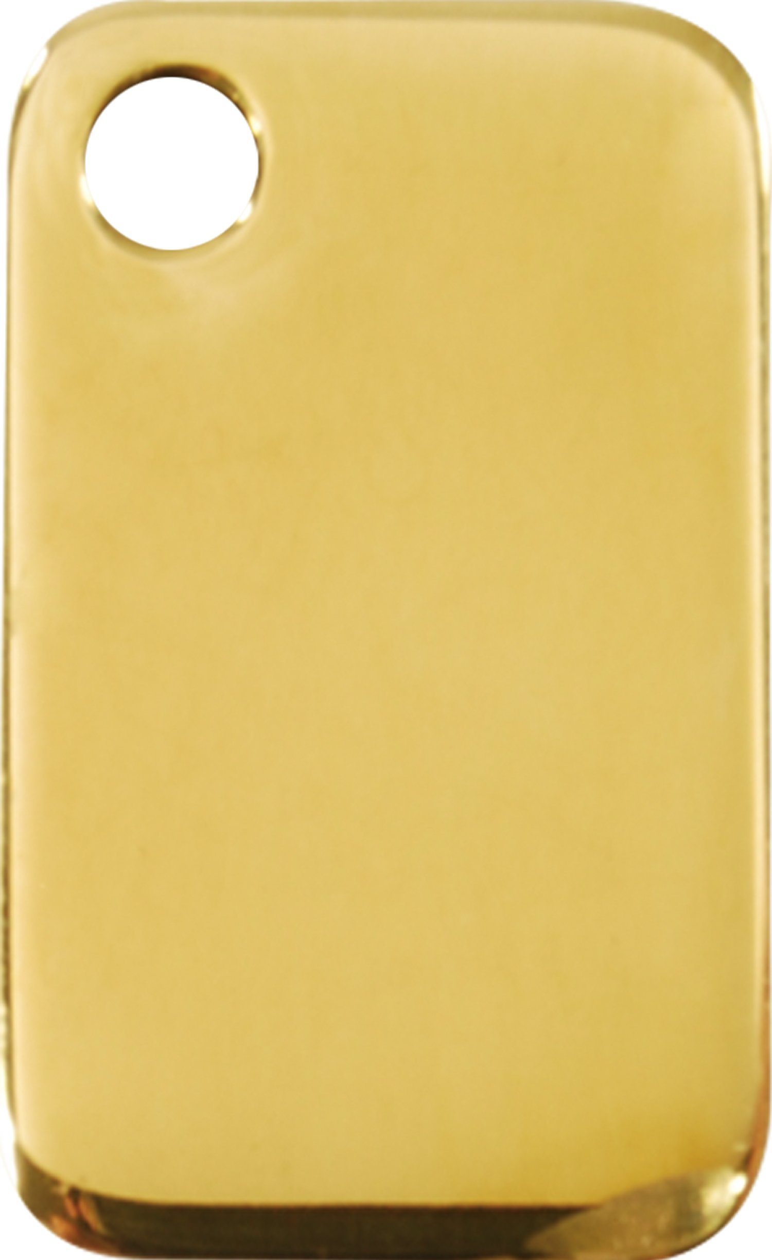 Red Dingo Custom Engraved Brass Dog ID Tag - Rectangle (Medium)