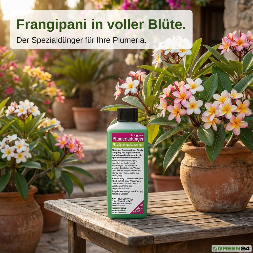 GREEN24 Frangipani-Dünger Hightech Płynny Fertilizer do Plumerie Frangipane
