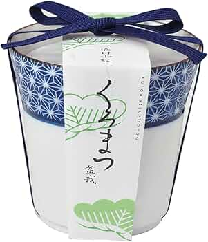 714xfGiZZjL._AC_UF350,