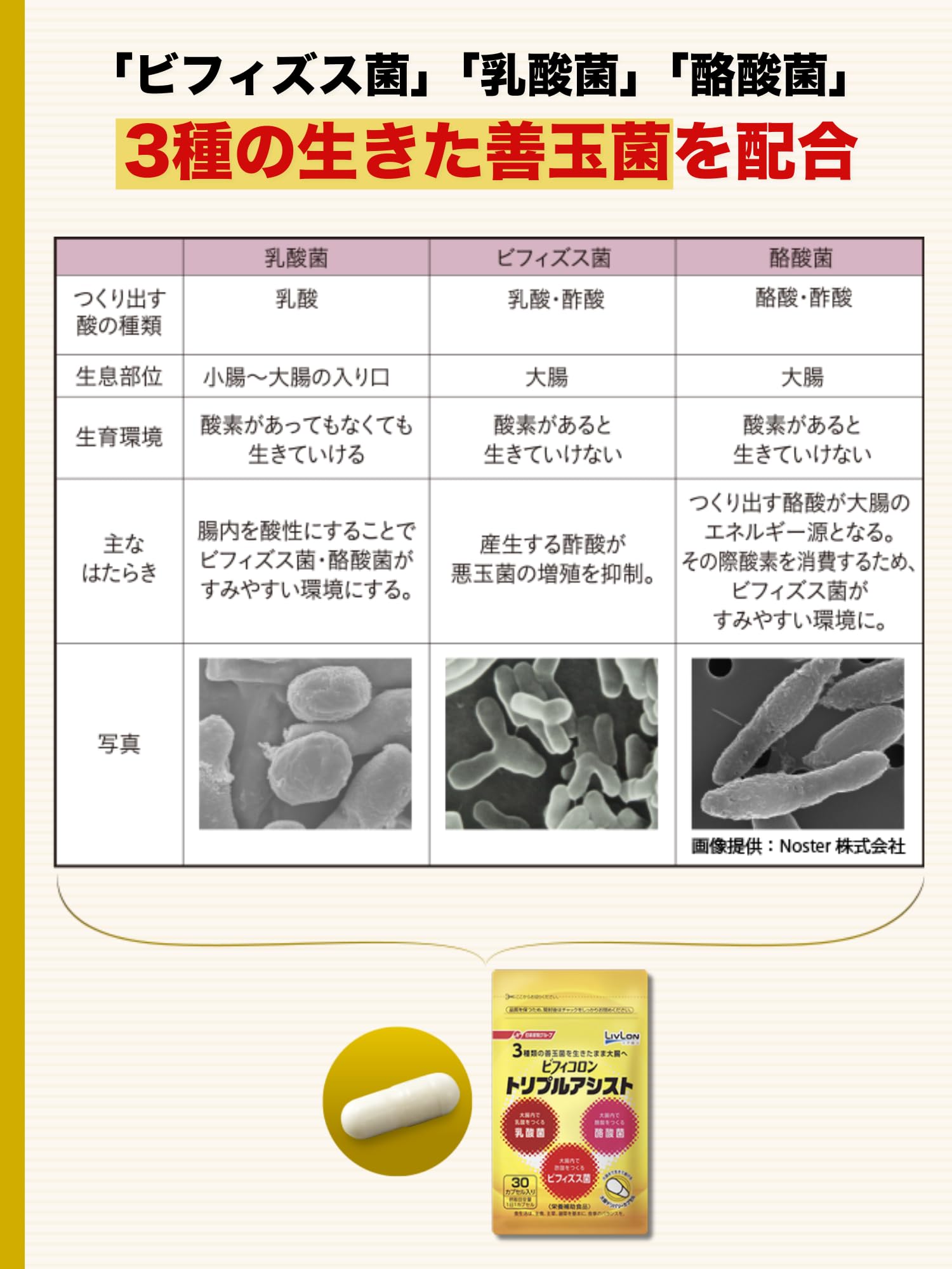 Amazon | ビフィコロン/トリプルアシスト/ビフィズス菌・乳酸菌・酪酸