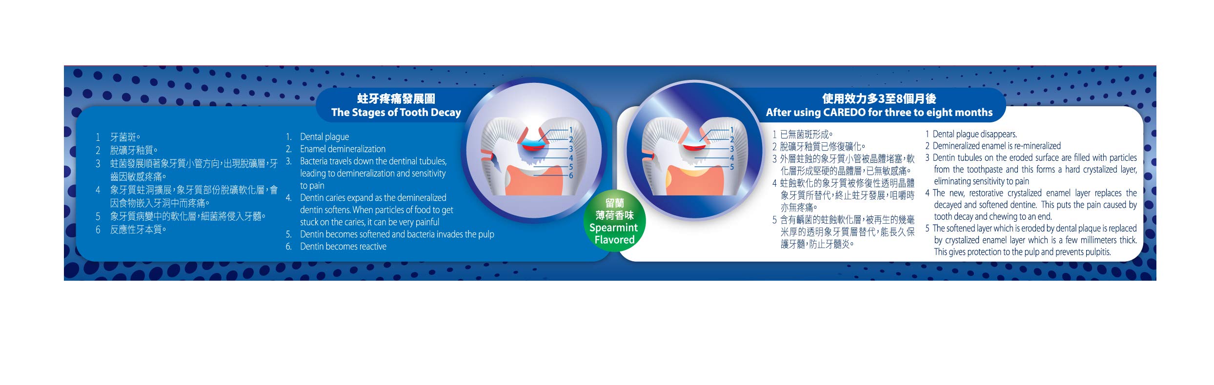 Buy CAREDO Toothpaste Treatment Tooth Decay for Adult, The ONLY