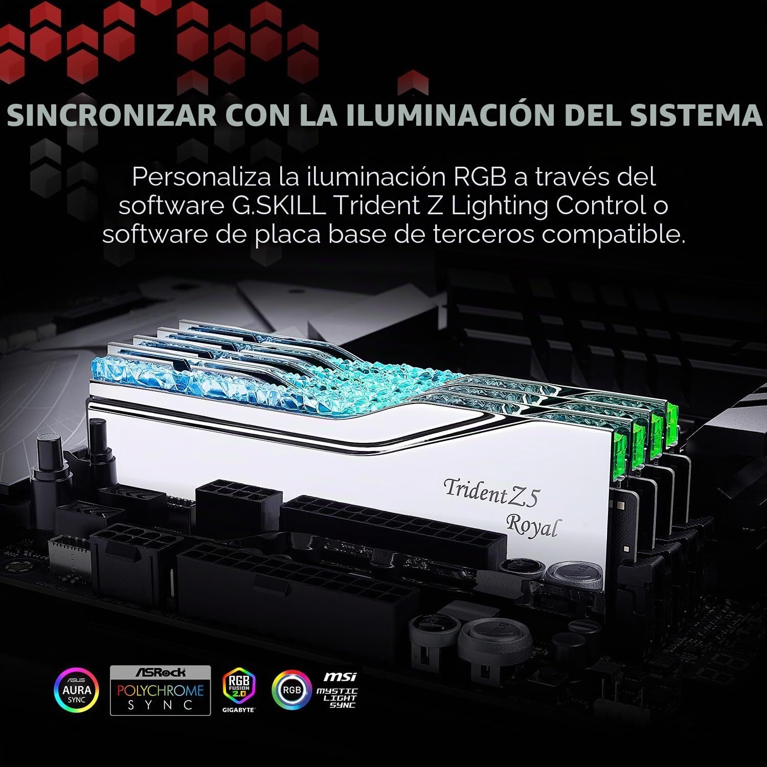 G.SKILL Trident Z5 Royal Series - Memoria RAM DDR5 (Intel XMP 3.0, 32 GB (2 x 16 GB, 6400 MT/s, CL32-39-39-102, 1,40 V, memoria para ordenador de escritorio, U-DIMM, plateado) (F5-6400J3239G16GX2-TR5S