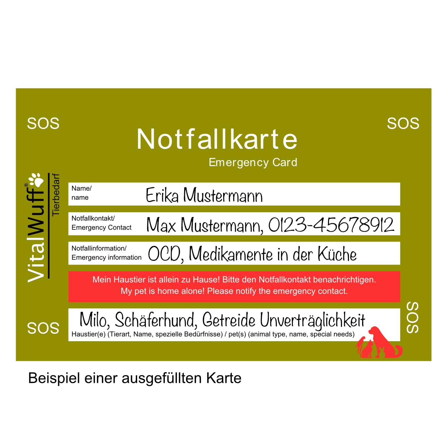 Alfavet FeliGum Struvit 3x160g Hund Katze unterst. Auflösung von Struvitsteinen