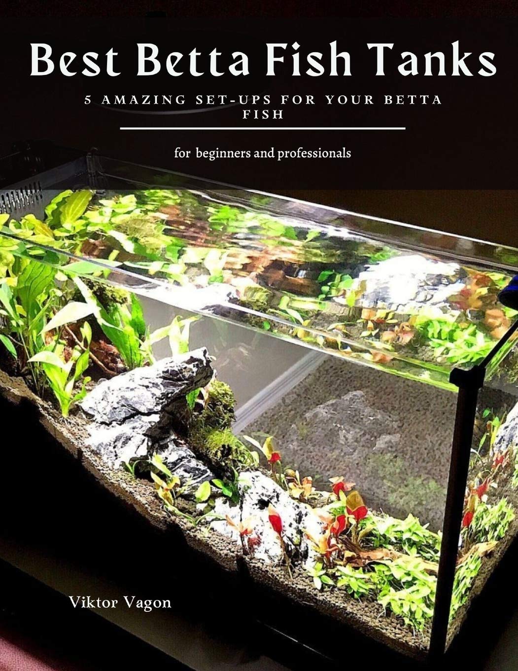 Buy Best Betta Fish Tanks 5 Amazing SetUps for Your Betta Fish Online