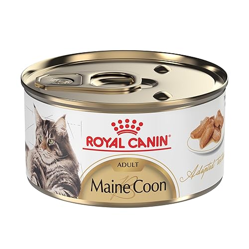Royal Canin Feline Breed Nutrition Maine Coon Adult Thin Slices