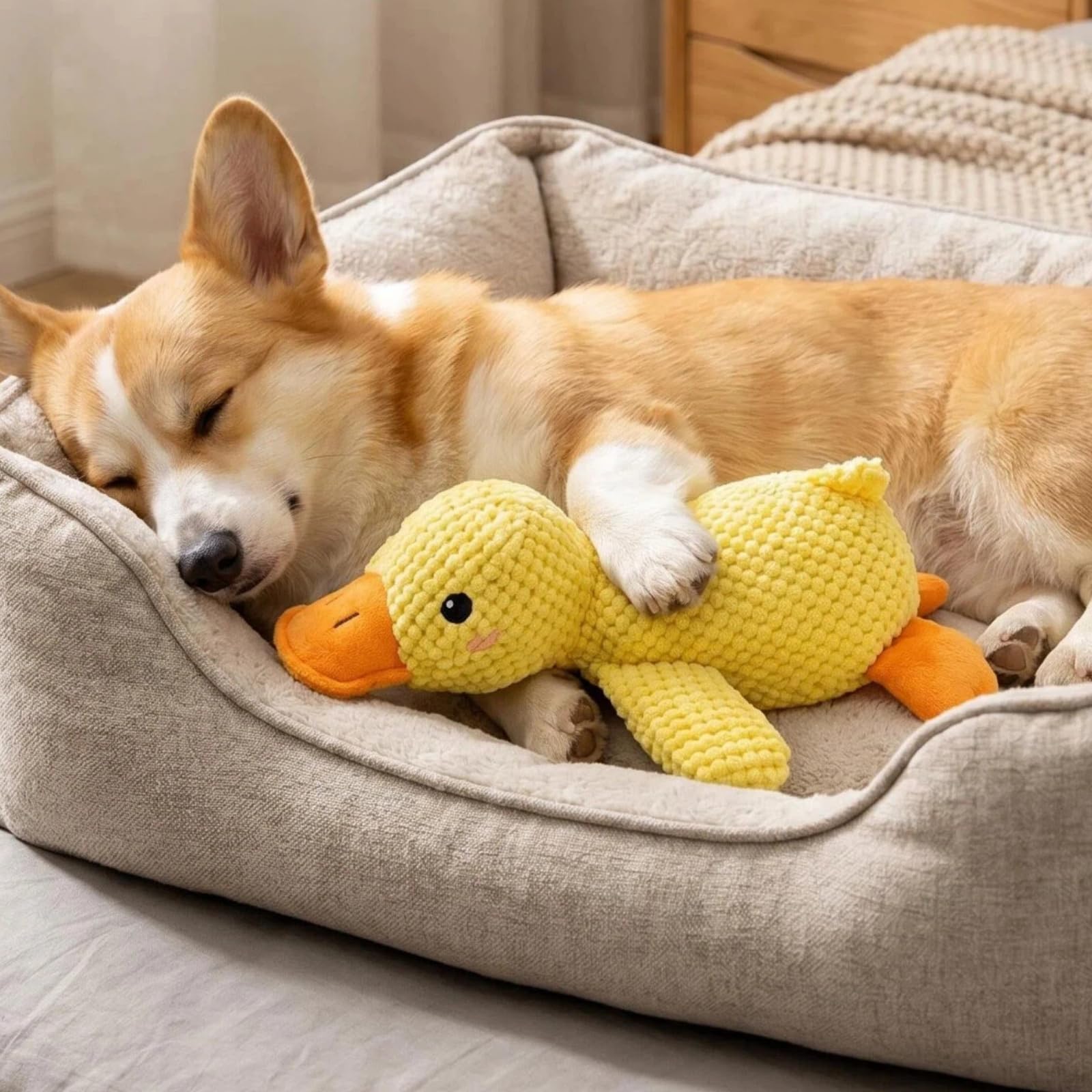 SINJAETRQ Squeaky Dog Toys, Durable Plush Duck Dog Toy for Small Medium Large Dogs, Soft Dog Plush with Built-in Squeaker, Interactive Puppy Toy for Aggressive Chewers, Cuddly Pet Gifts for Birthday
