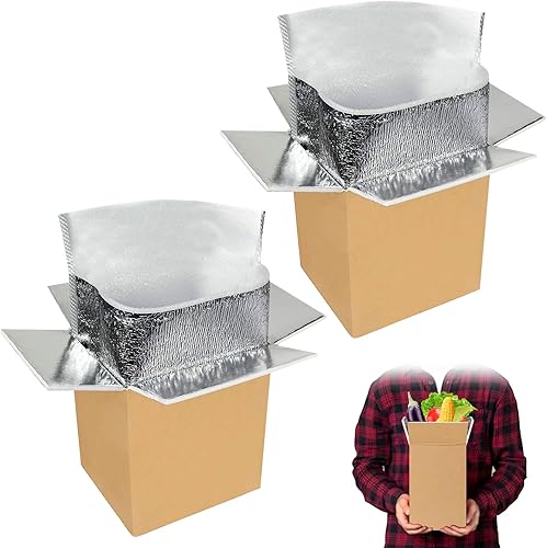 Paquete de 2 cajas de envío Thermo Chill con doble aislamiento con forro de bolsa aislante de papel de aluminio, 8 x 4 x 5 pulgadas, reutilizable,