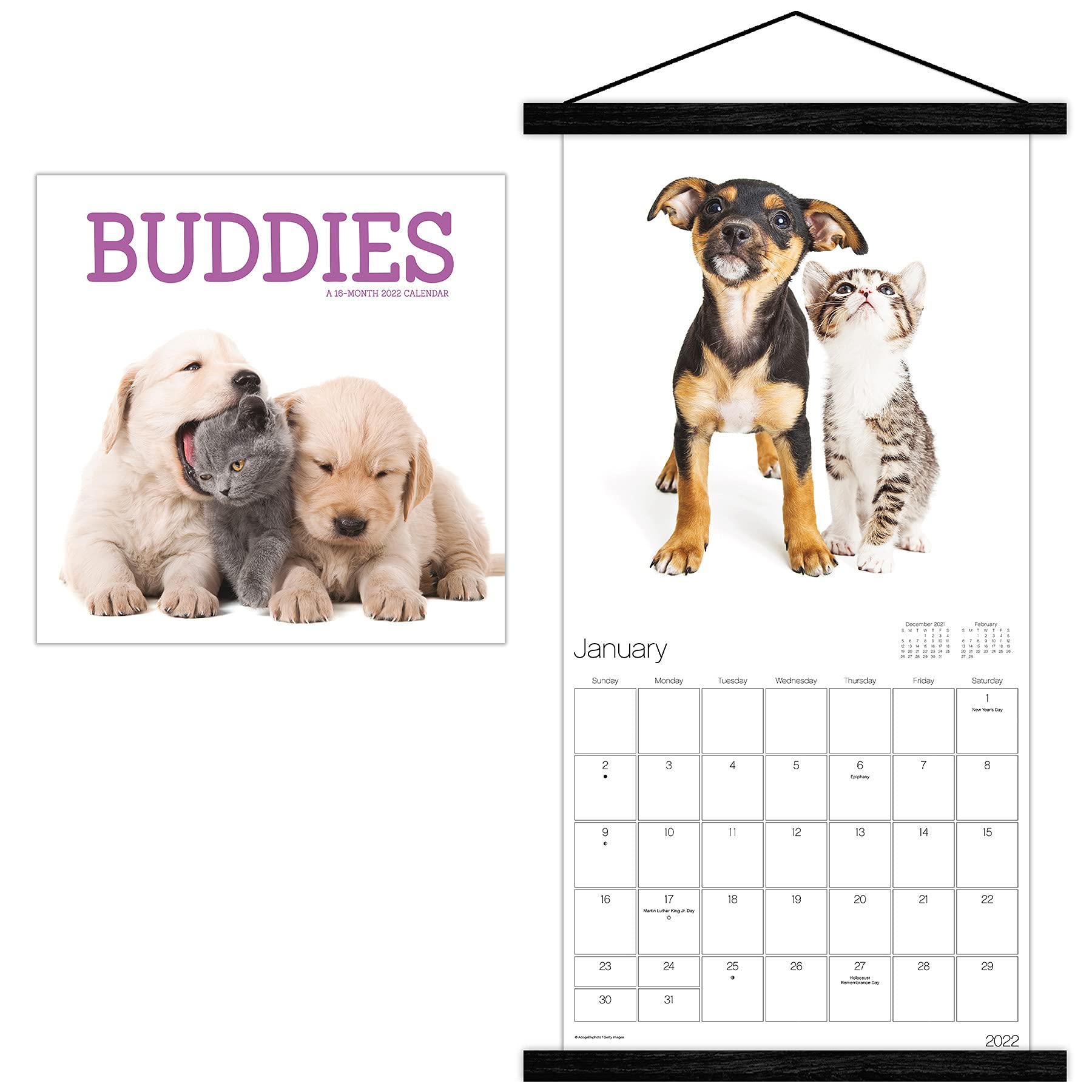 trends-international-2022-buddies-wall-magnetic-frame-12-x-12