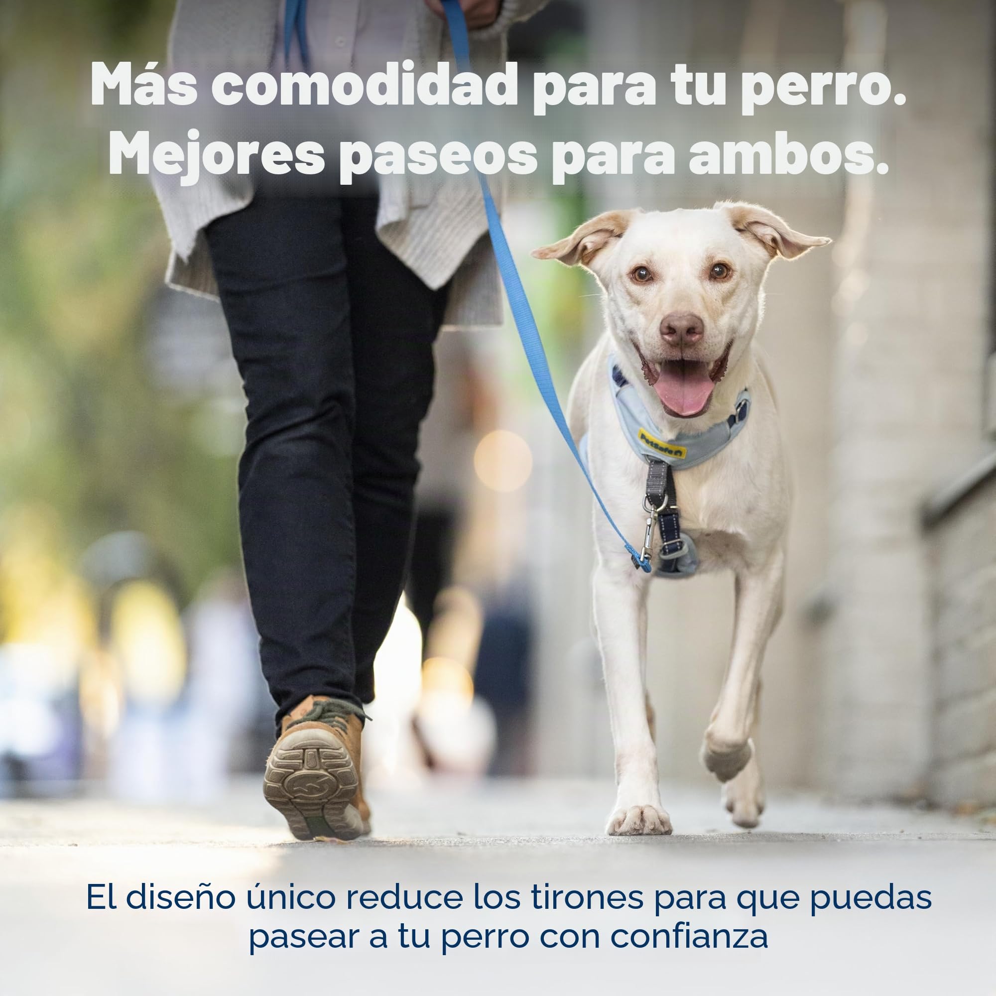 PetSafe Easy Walk Comfort - Arnés antitirones de adiestramiento, Acolchado Todo el Cuerpo, Resistente, 5 Puntos de Ajuste, Ribete Reflectante, Hebillas de Cierre rápido, asa, Uso Diario, Rosa, M/L