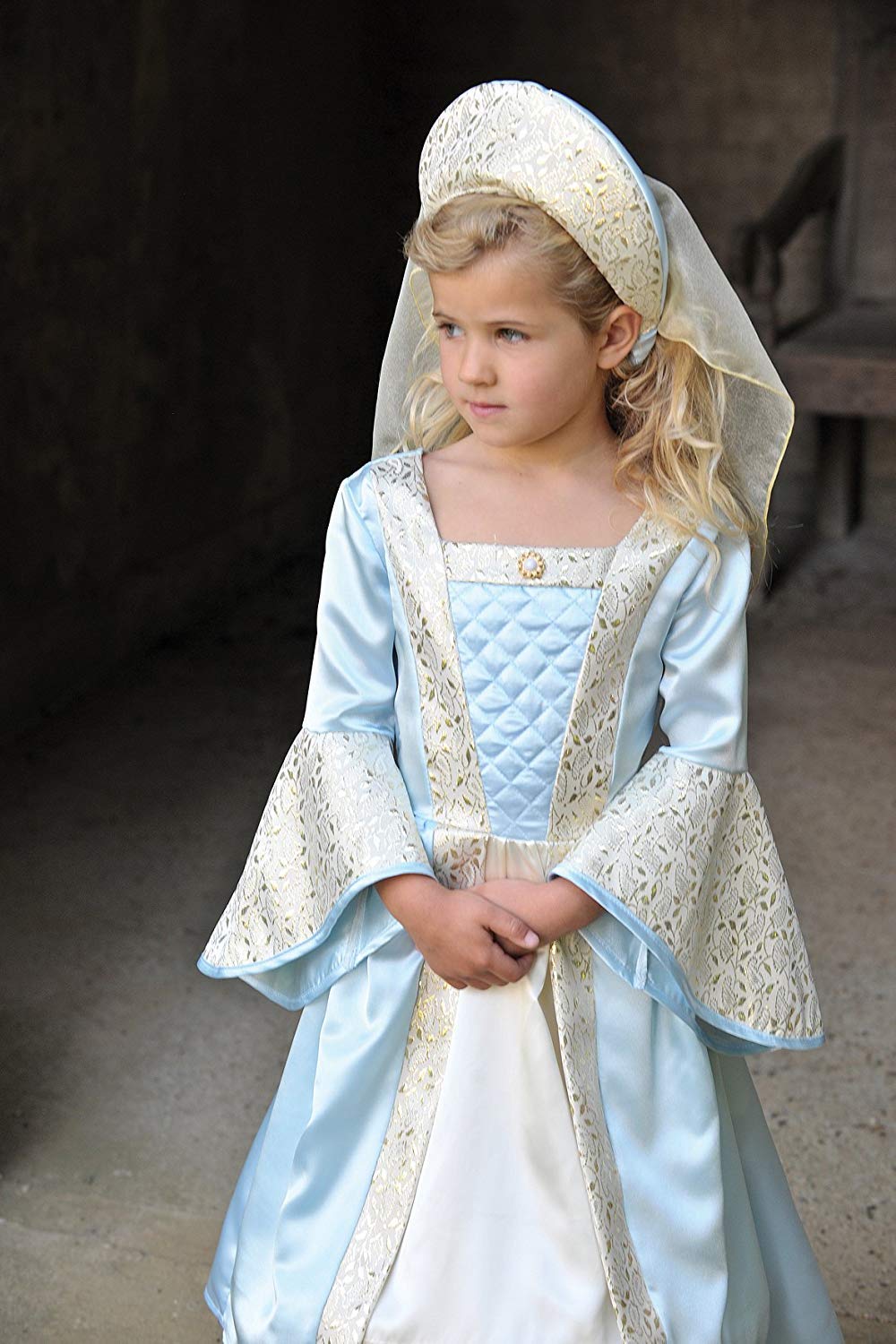 amscan TUG9 Childs Girls Medieval Tudor Princess Book Week Fancy Dress  Costume Age 9-11 Years : Amazon.co.uk: Toys & Games